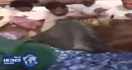 بالفيديو.. تجمهر المواطنين لأخذ قوارير مياه من حاوية نفايات بالدمام