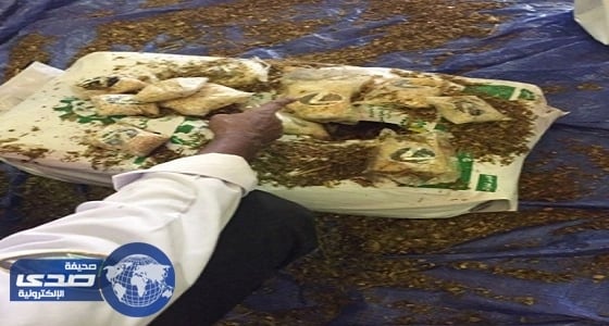 جمرك ميناء ضباء يحبط تهريب مليون حبة " كبتاجون "