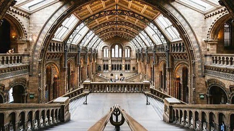 سيدة تتفاجأ بقلبها معروضًا داخل متحف لأكثر من 15 عامًا