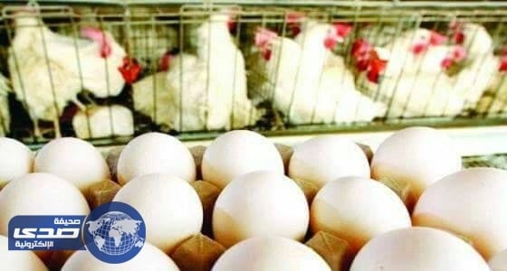 الغذاء والدواء ترفع الحظر عن استيراد لحوم الدواجن والبيض من بولندا