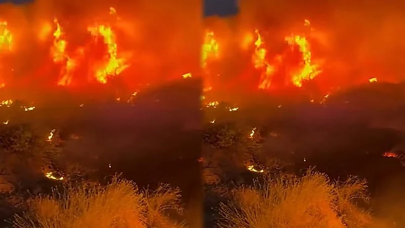 حريق ضخم يلتهم الأشجار في عرعر.. فيديو