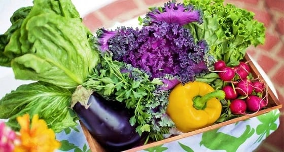 4 أطعمة مفيدة لأصحاب الضغط المرتفع