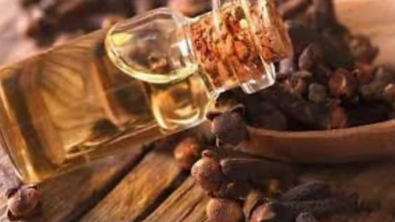 فوائد مدهشة لزيت القرنفل