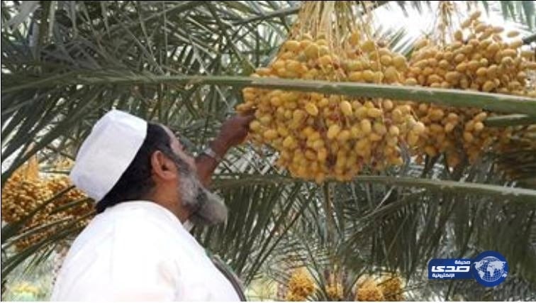 وزير الخارجية: نتحقق من وقوع إصابات بين المدنيين في ضربات التحالف باليمن "فيديو"