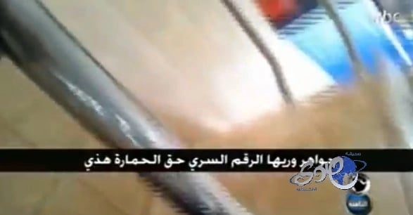 بالفيديو.. موظفة بـ"الضمان" تصف مستفيدة بـ"الحمارة"
