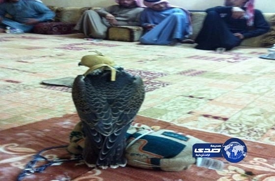 بيع "شيهانة" برفحاء بـ"6200" ريال