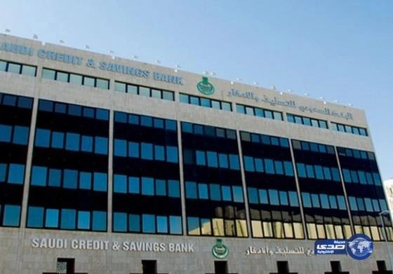 مستثمرون بالتعليم الأهلي يطالبون «التسليف» بإعادة جدولة ديون المدارس