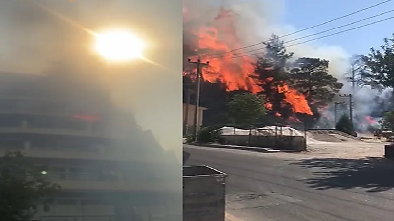 بالفيديو .. اندلاع حرائق غابات في مرماريس التركية