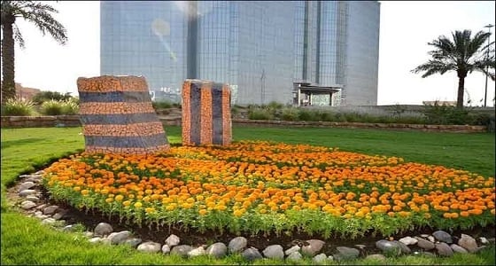 بالصور.. الرياض تتزين بأكثر من 5 ملايين زهرة