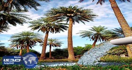 «عين الجوهرية» قبلة أهالي الأحساء لمواجهة حرارة الشمس