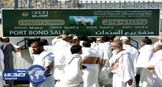 450 ريالاً سعر الأضحية في مشروع الإفادة من الهدي والأضاحي