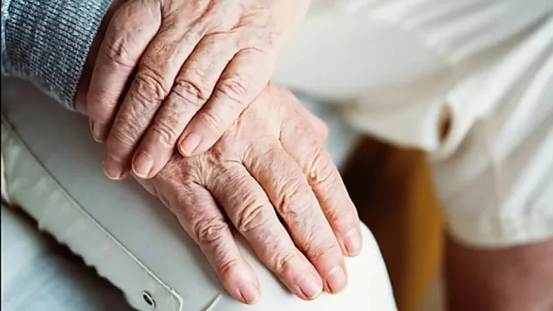 حشرة نادرة تساعد في إبطاء الشيخوخة