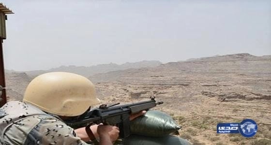 بالصور.. أمانة نجران تضبط أغناما مريضة قبل بيعها للزبائن