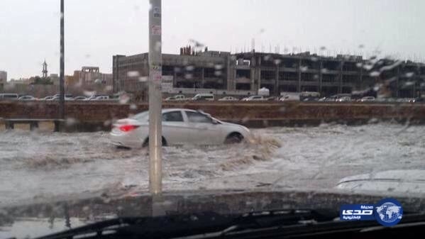 شاهد.. ضبط مقيم بتهمة زراعة مواد مخدرة 