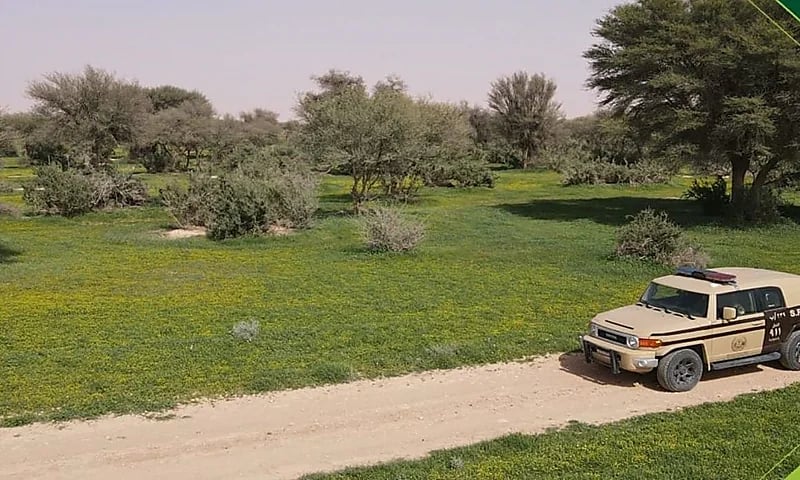 القبض على 15 مواطنًا مخالفًا لنظام البيئة لارتكابهم مخالفات صيد