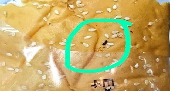 بالفيديو.. فئران وديدان في كافتيريا بإحدى الجامعات