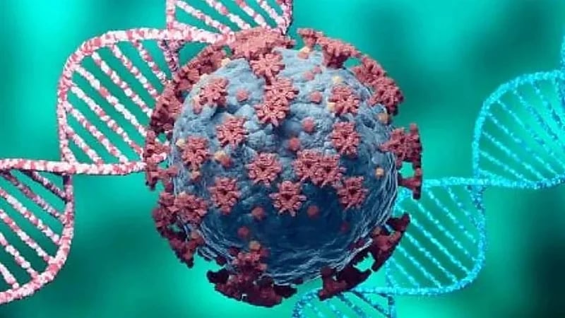 "الصحة العالمية": أوميكرون يصيب الملقحين والمتعافين من كورونا