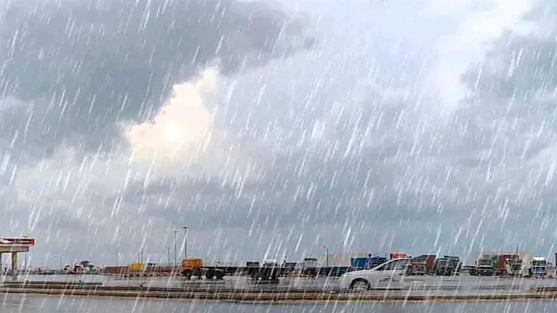 7 نصائح مهمة من "الصحة" لمرضى الربو خلال هطول الأمطار