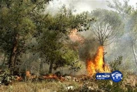 أسعار الذهب اليوم الأحد