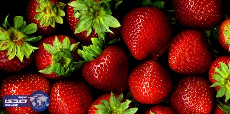 بالفيديو..7 أطعمة لاتسبب زيادة للوزن