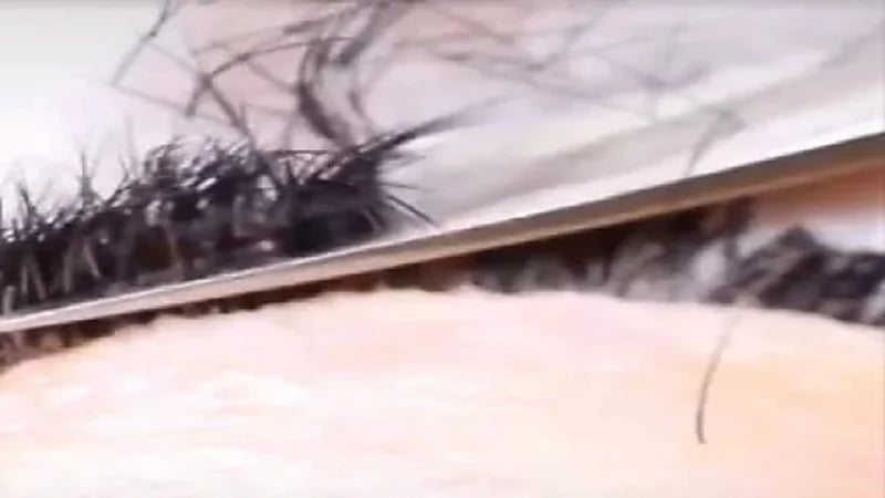 رد فعل صادم من كوافيرة تجاه زبونة رفضت الدفع