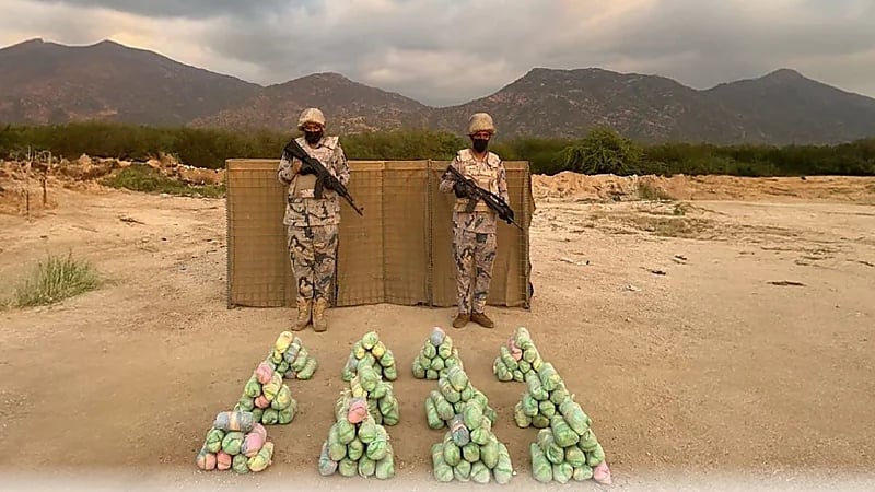 إحباط تهريب 67 ألف قرص خاضع لتنظيم التداول الطبي بعسير