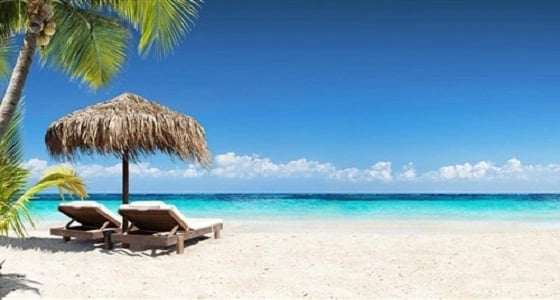 وظيفة بـ 78 ألف دولار في 6 أشهر