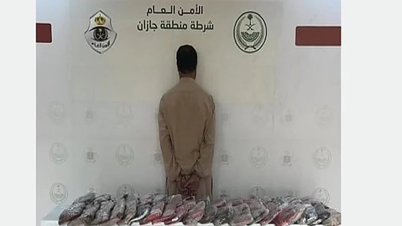 ضبط 37 كيلو جرامًا من مادة الحشيش المخدر بحوزة مقيم