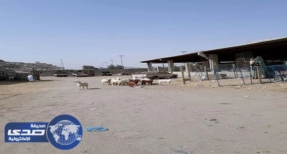 إزالة 30 حظيرة عشوائية في مكة