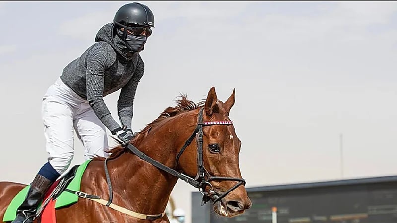 إصابة الفارسة مضاوي القحطاني بكسور في فقرات الرقبة