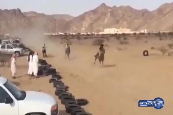 شاهد.. فارس ينحرف بحصانه عن السباق ويصطدم بسيارة متوقفة