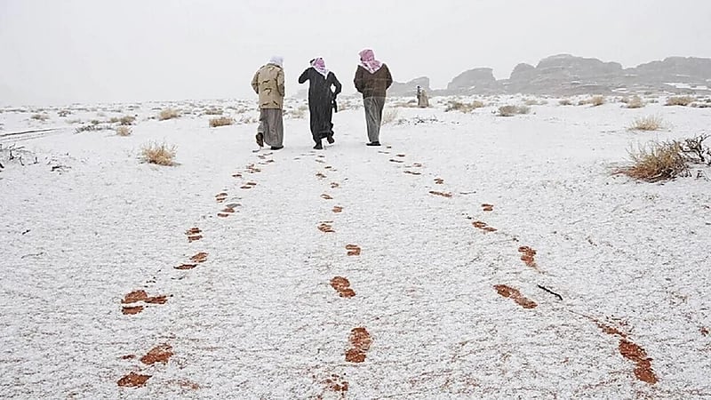فيه يستمر الصقيع..الحصيني يكشف خصائص آخر نجم في المربعانية