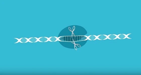 بالفيديو.. عالم كيميائي يتحول إلى رجل خارق بتغيير الجينات