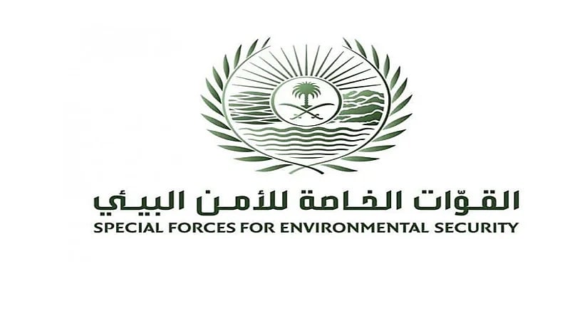 الأمن البيئي يكشف تفاصيل فيديو وجود أسود في مكان عام