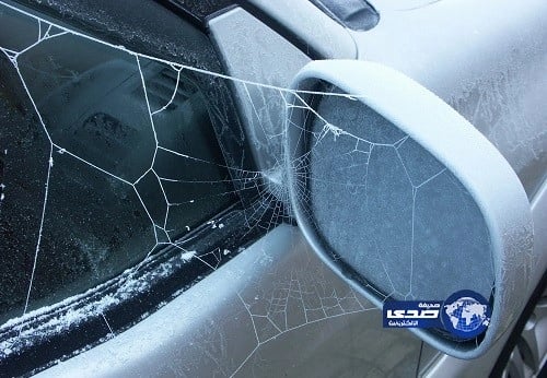 بالفيديو.. معركة عنيفة في برلمان جنوب إفريقيا بسبب زوما