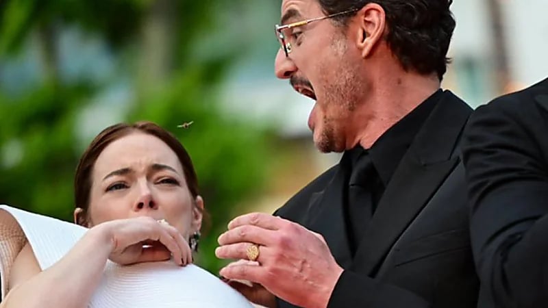 نحلة تهاجم إيما ستون على السجادة الحمراء في مهرجان كان السينمائي ..فيديو