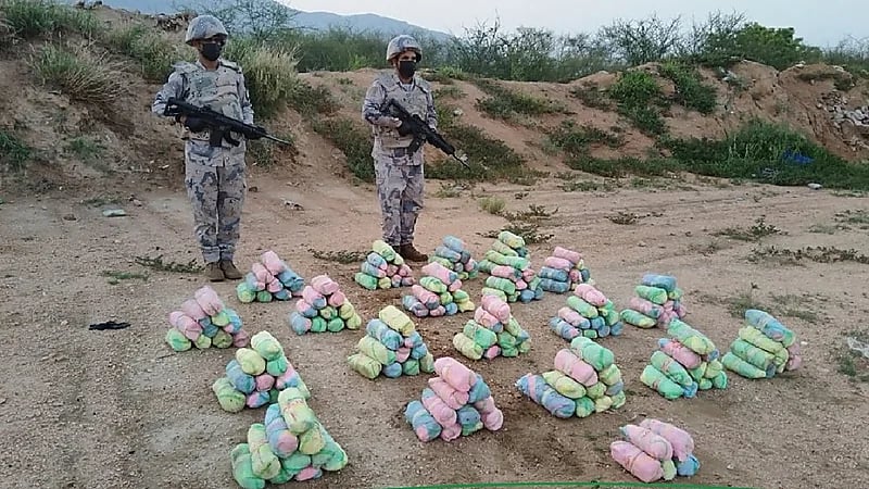 إحباط تهريب 97 كيلوجرامًا من القات المخدر بالحرث