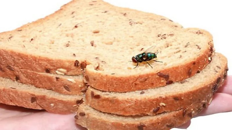 إماراتي يطالب بتعويض لوجود حشرة محمصة داخل الطعام