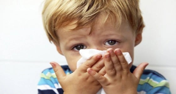 طبيبة ألمانية: تدريب الجهاز المناعي على مسببات الحساسية يبدأ " مبكرا "