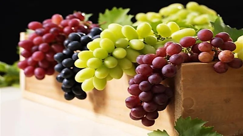 العنب يساعد في الحماية من حروق الشمس والأورام