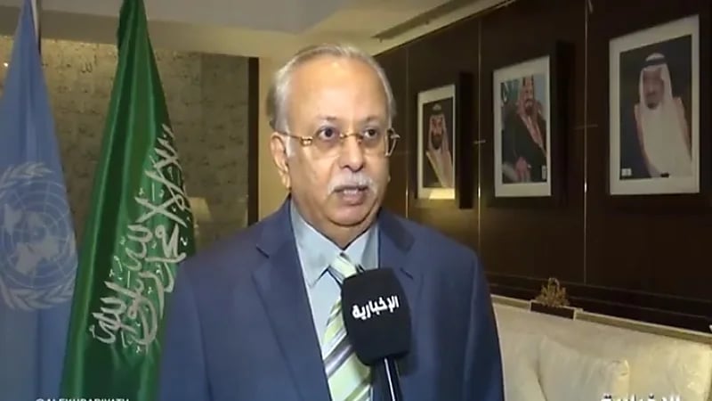 بالفيديو.. "المعلمي" يكشف أبرز القضايا التي يناقشها وفد المملكة بالأمم المتحدة