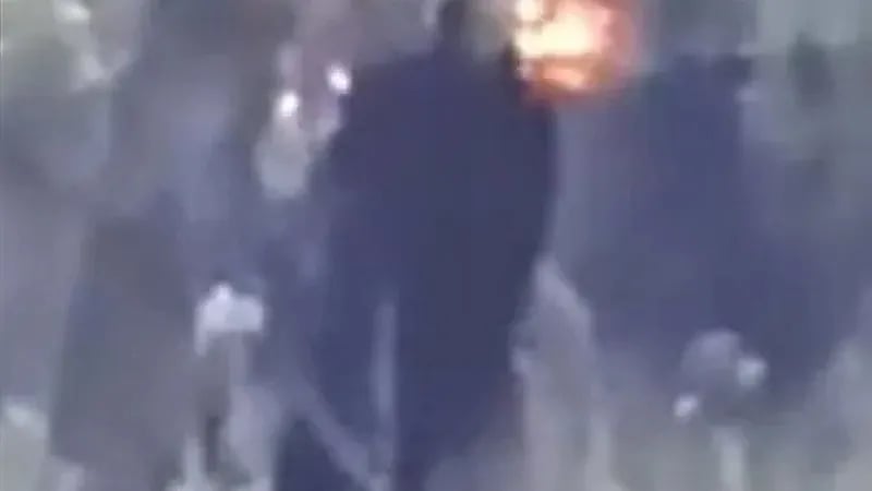 وحش أسود عملاق يثير الذعر بأمريكا