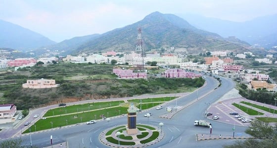 بلدية رجال ألمع تصادر 78 من ألواح الخبز