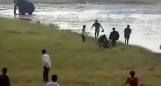 بالصور.. فيل يدهس رجلا حتى الموت بعد تخلي أصدقائه عنه