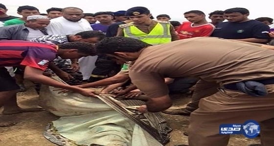 ثعلب يصيب 17 جنديا إسرائيليا في فلسطين