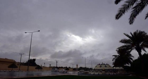 ضباب وسحب رعدية ممطرة على مناطق بالمملكة
