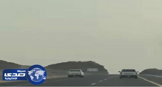 القبض على متهوري طريق الرين في بيشة " فيديو "