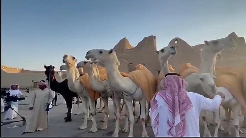 بالفيديو.. استعراض منقية قطامات في ‎الدرعية ضمن احتفالات اليوم الوطني