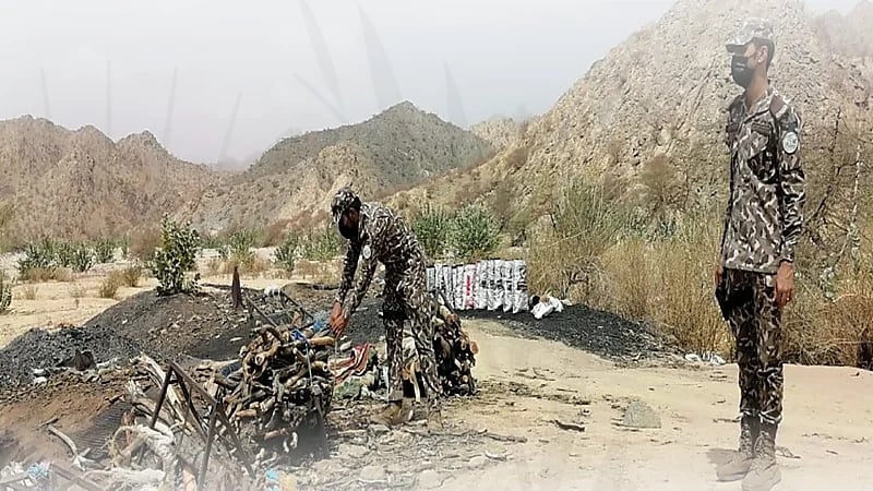 ضبط مخالف لنظام البيئة يقطع الأشجار لتحويلها إلى فحم في مكة