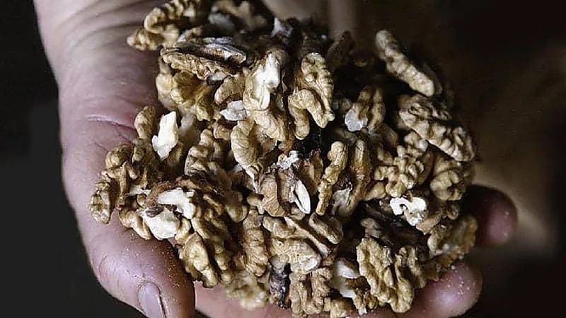 دراسة تكشف علاقة تناول الجوز بمتوسط العمر